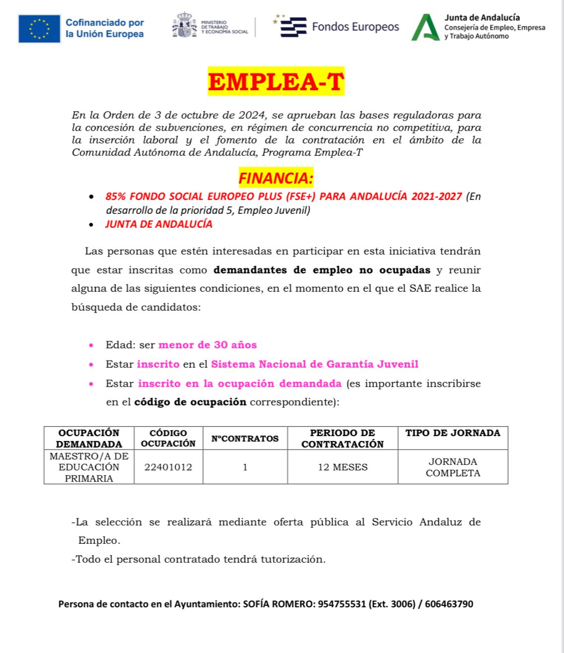 WhatsApp Image 2025-01-22 at 13.14.21