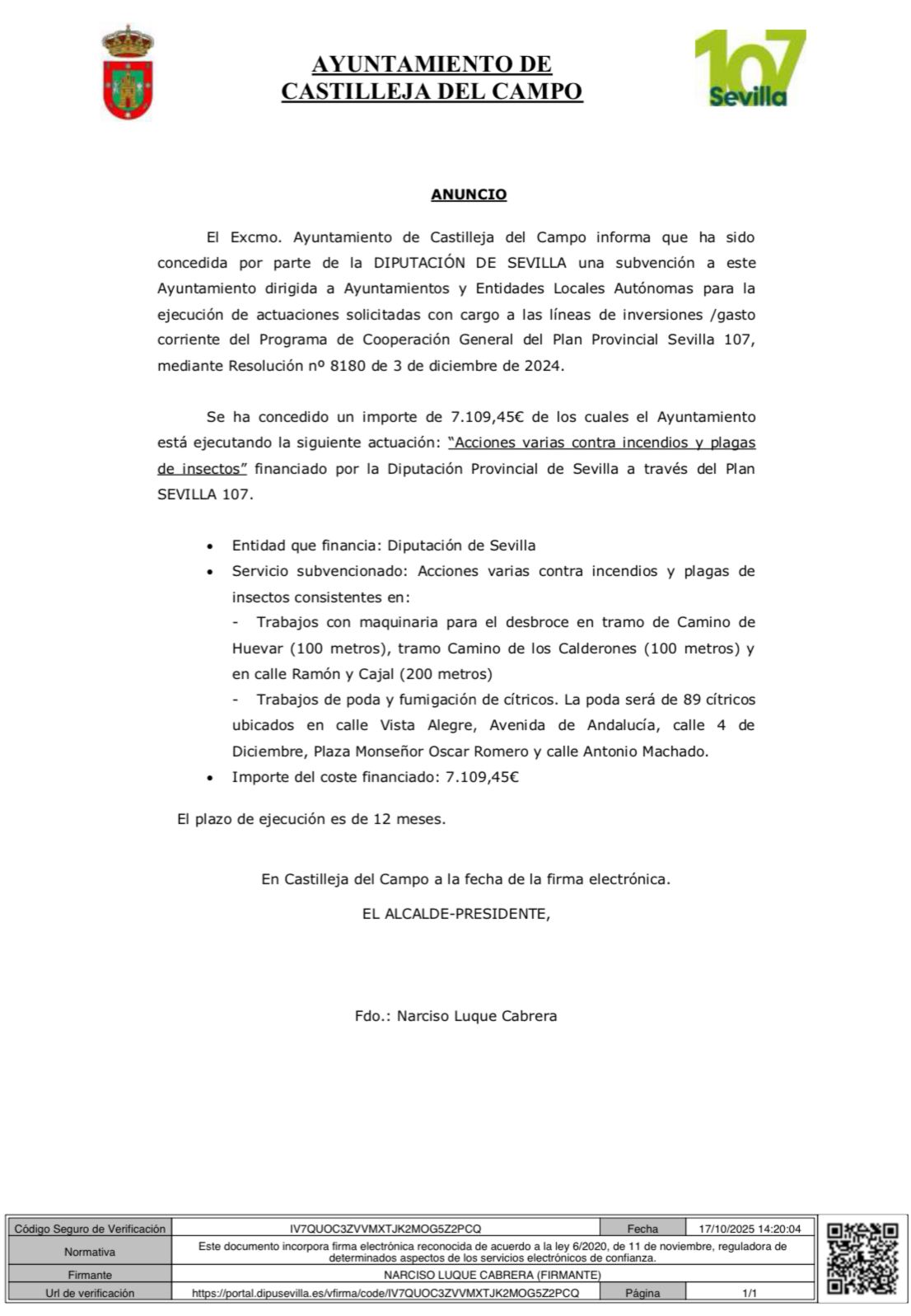 WhatsApp Image 2025-10-18 at 00.44.13