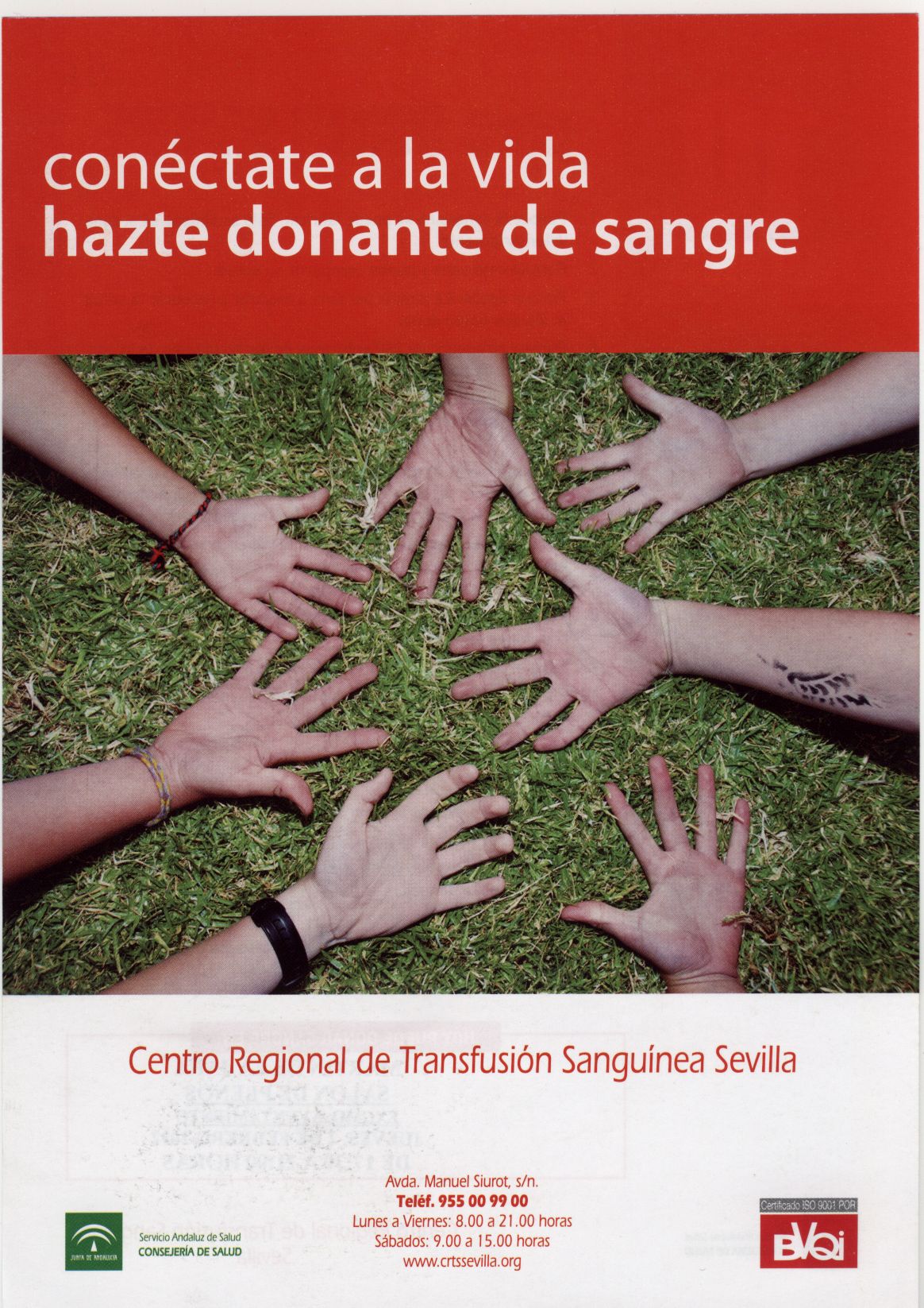 donacion_sangre_01.jpeg